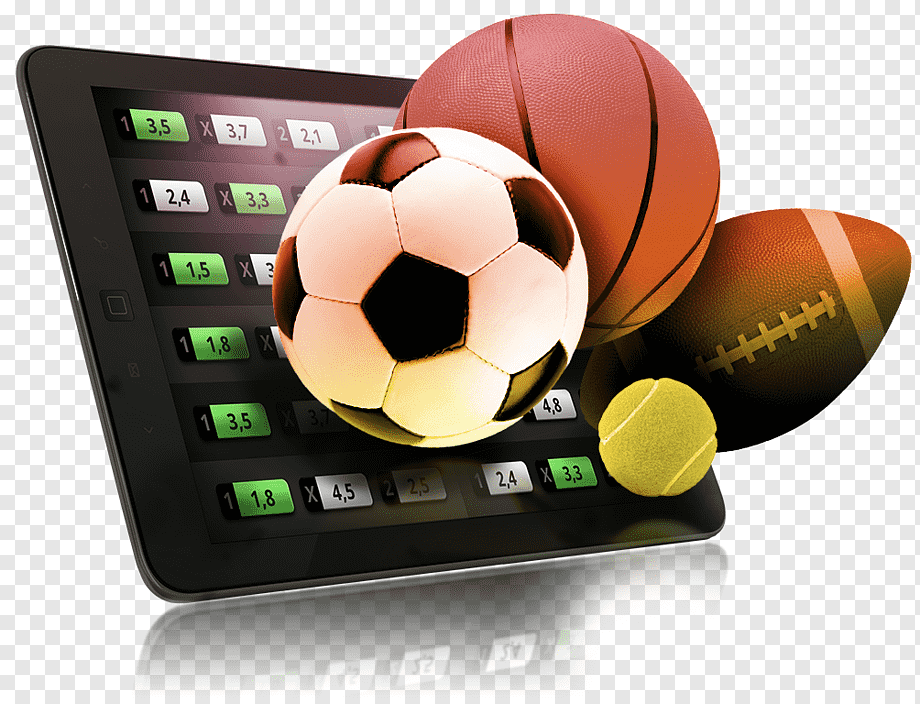 Discover the Best Casinos for Slots Players 29 Discover the Best Casinos for Slots Players 29