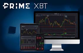 Mastering the Market An In-Depth Look at PrimeXBT Crypto Trading Signals